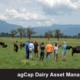 agCap Dairy Asset Management
