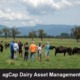 agCap Dairy Asset Management